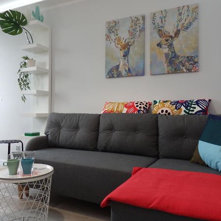 Super Punkt Zabianka /Sopot Apartment กดัญสก์ ภายนอก รูปภาพ